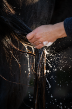 Deep Moist Velvet Shampoo