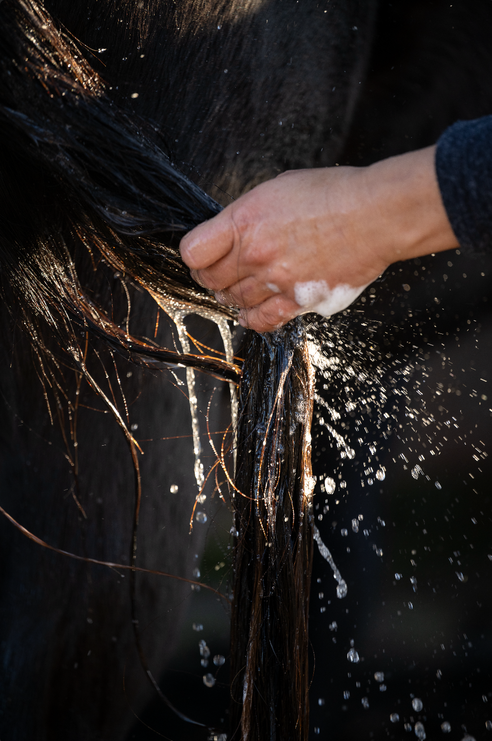 Deep Moist Velvet Shampoo